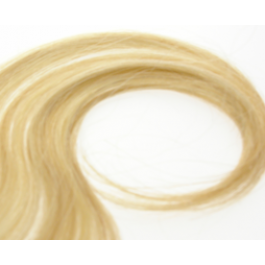 Blond Hair extension